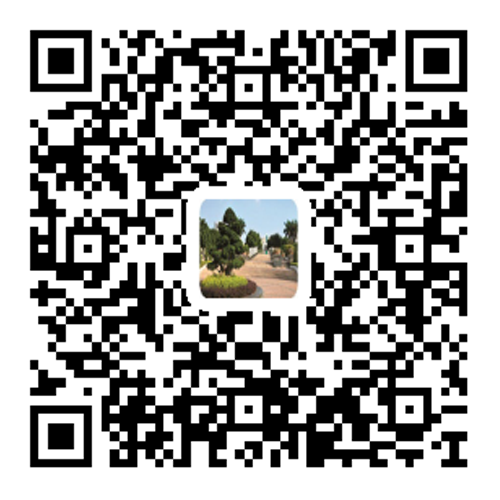营销中心——————————长沙飞大飞房地产